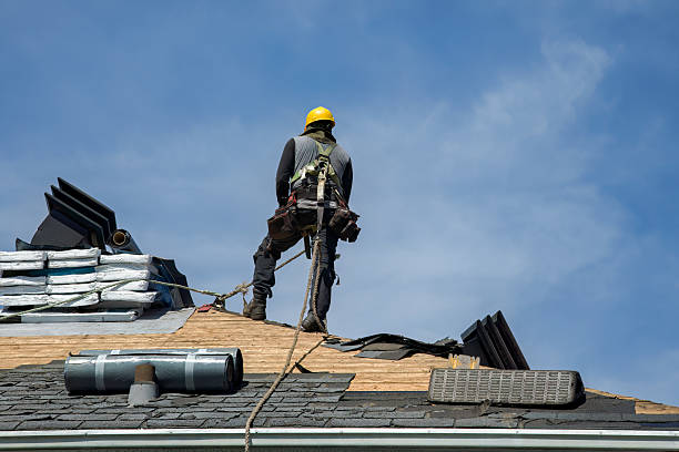 Professional Roof Replacement technician working in Trezevant, TN